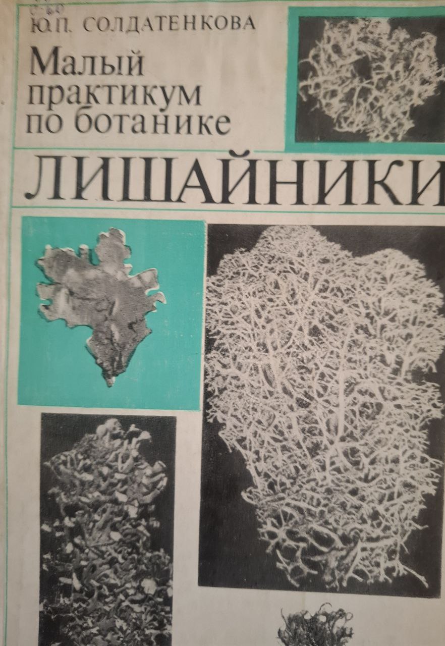 Малый практикум по ботанике. Лишайники(кустистые и листоватые)