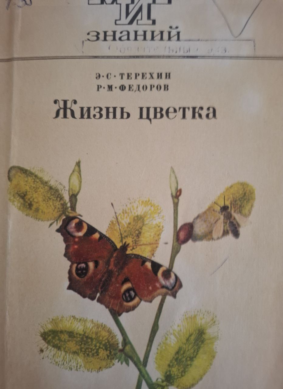 Жизнь цветка