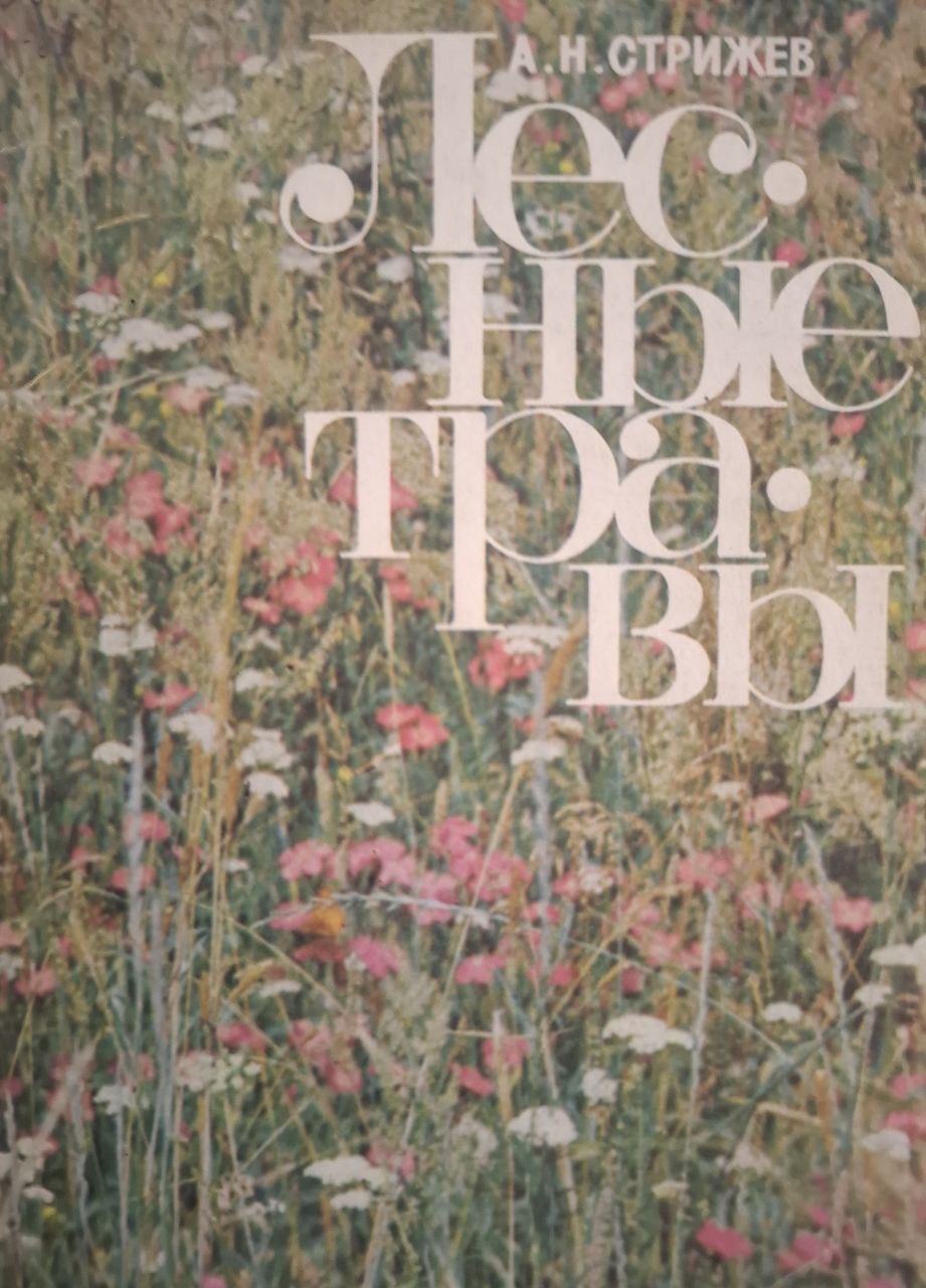 Лесные травы