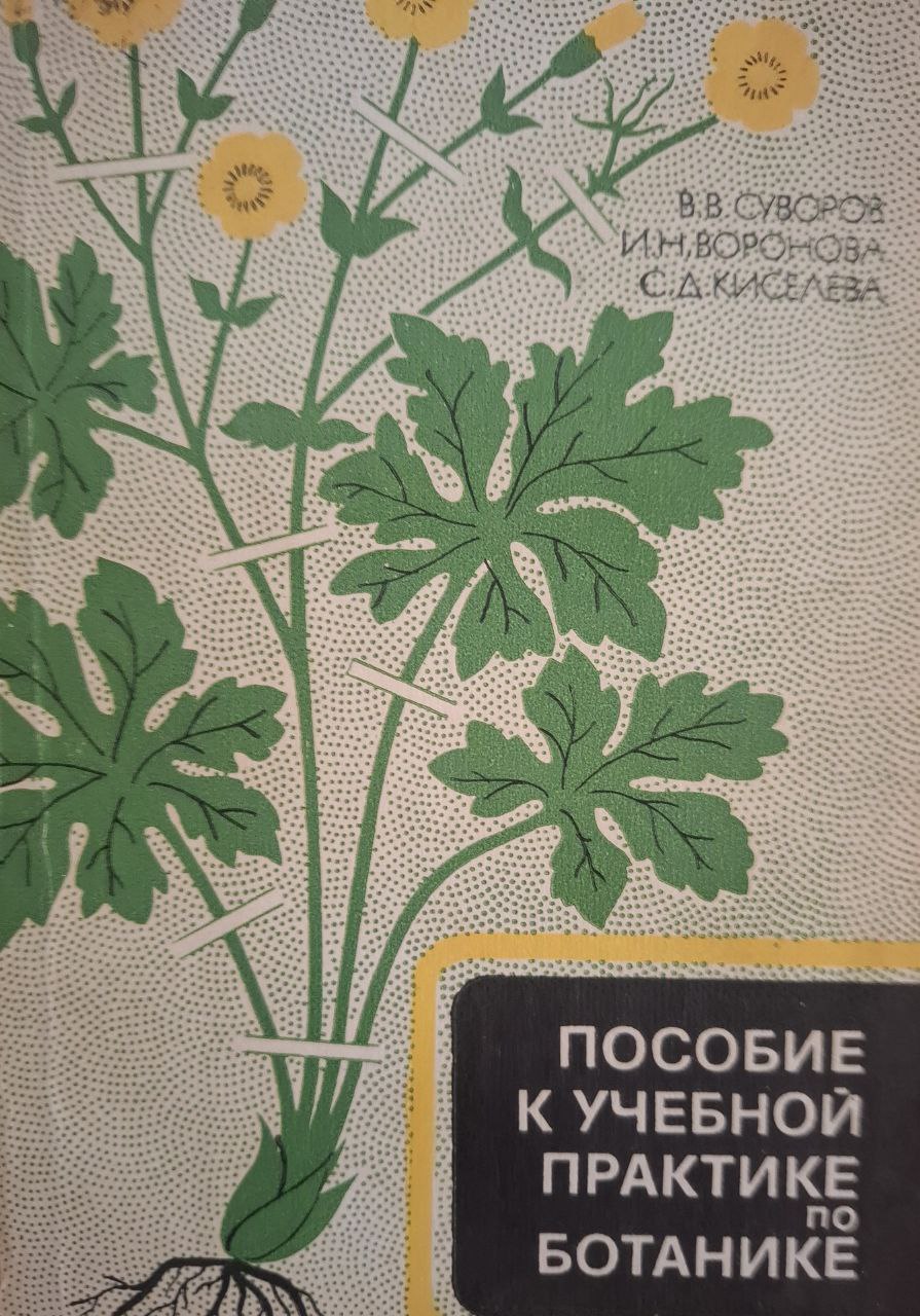 Пособие к учебной практике по ботанике