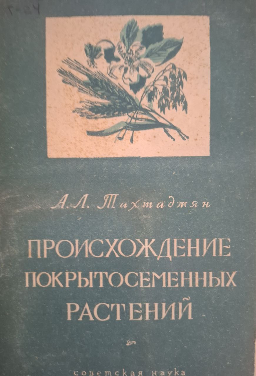 Происхождение покрытосеменных растений