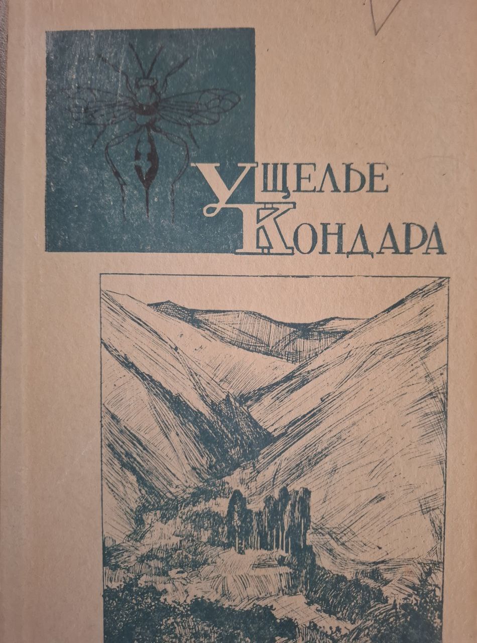 Ущелье Кондара