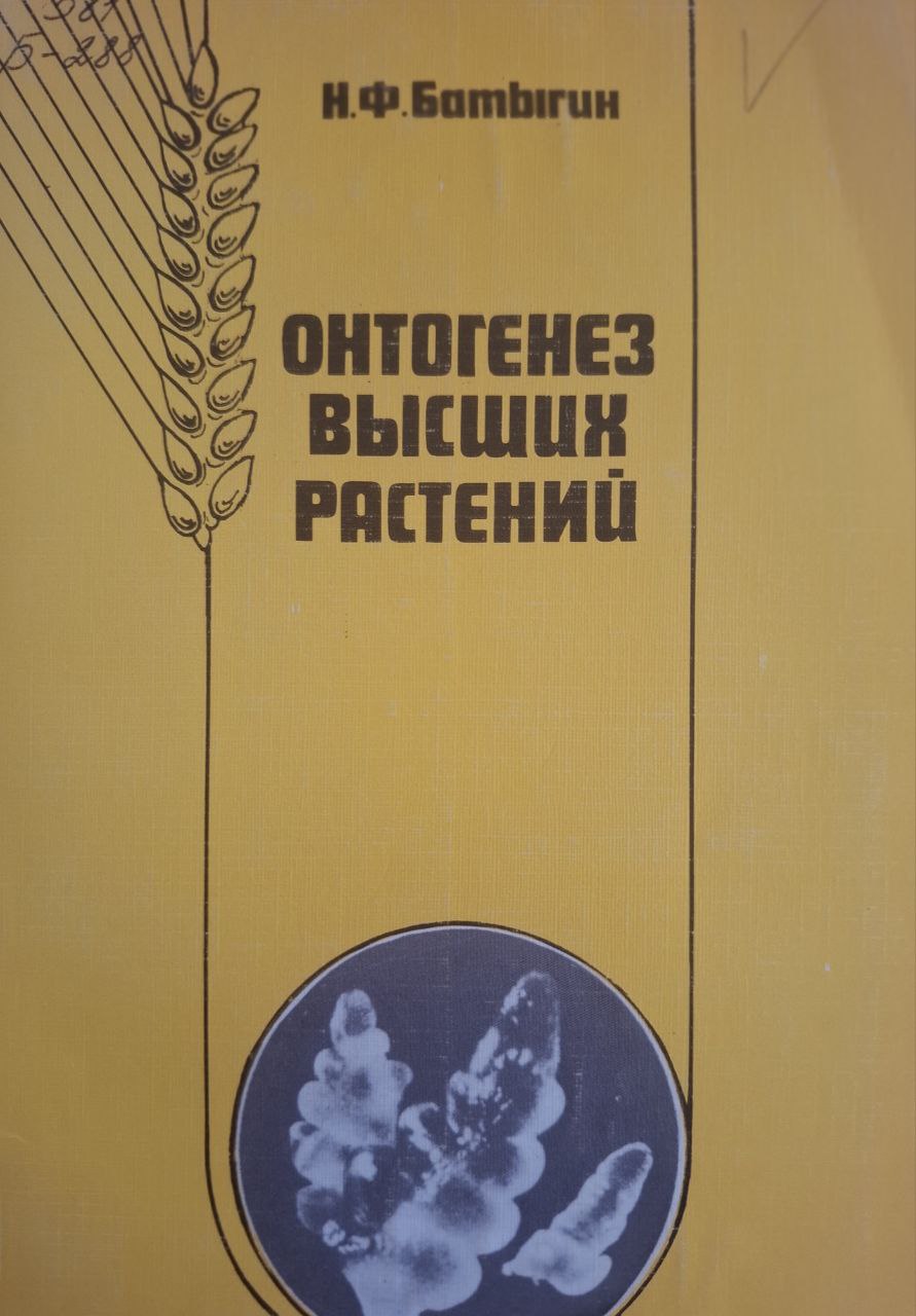 Онтогенез высших растений