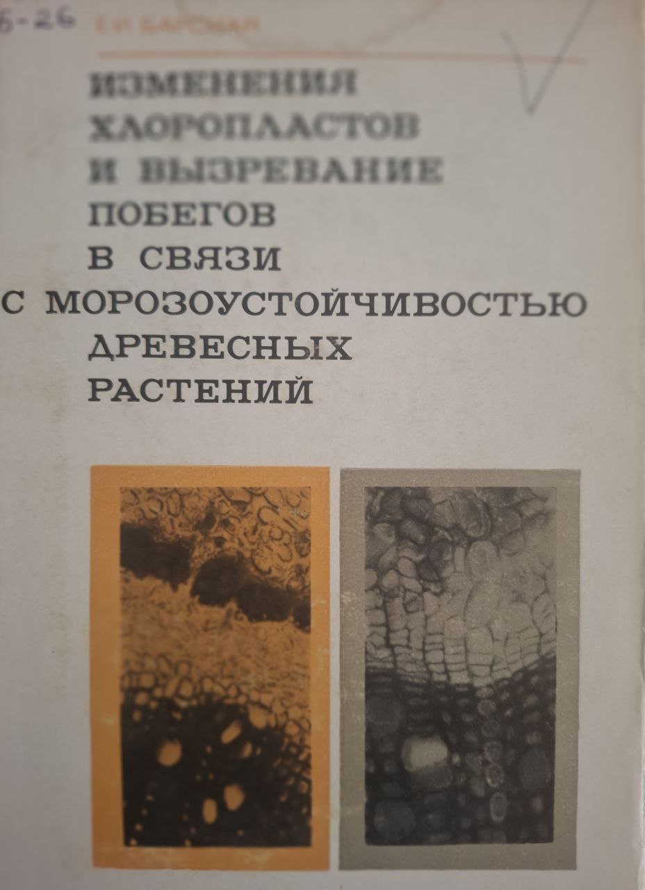 Изменения хлоропластов и вызревание побегов в связи с морозоустойчивостью древесных растений