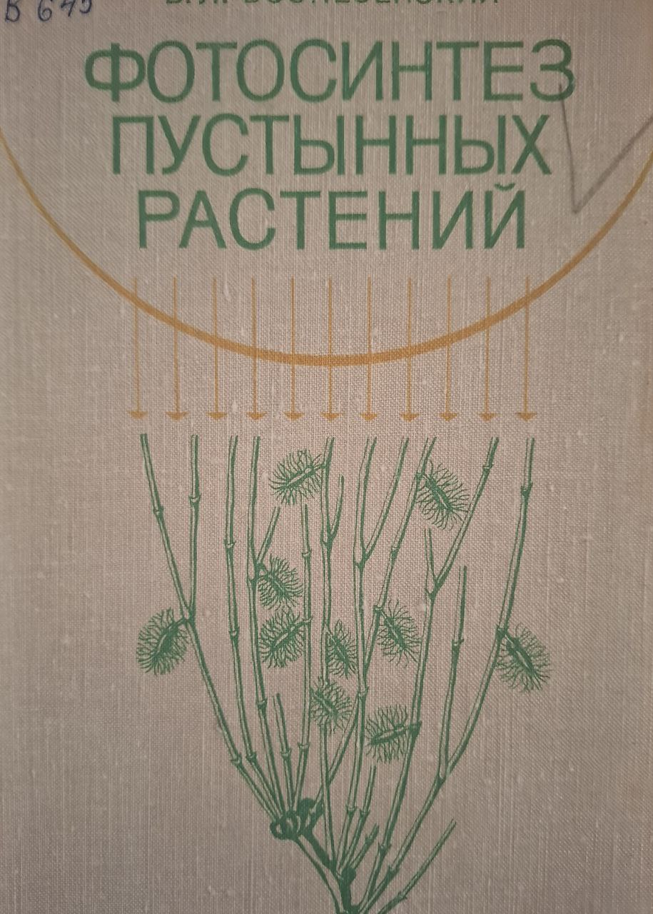 Фотосинтез пустынных растений (Юго-Восточные Каракумы)