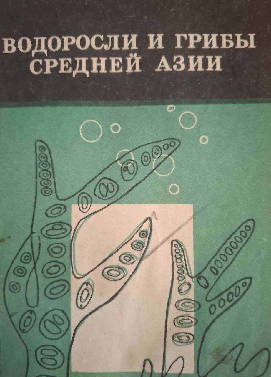Водоросли и грибы Средней Азии