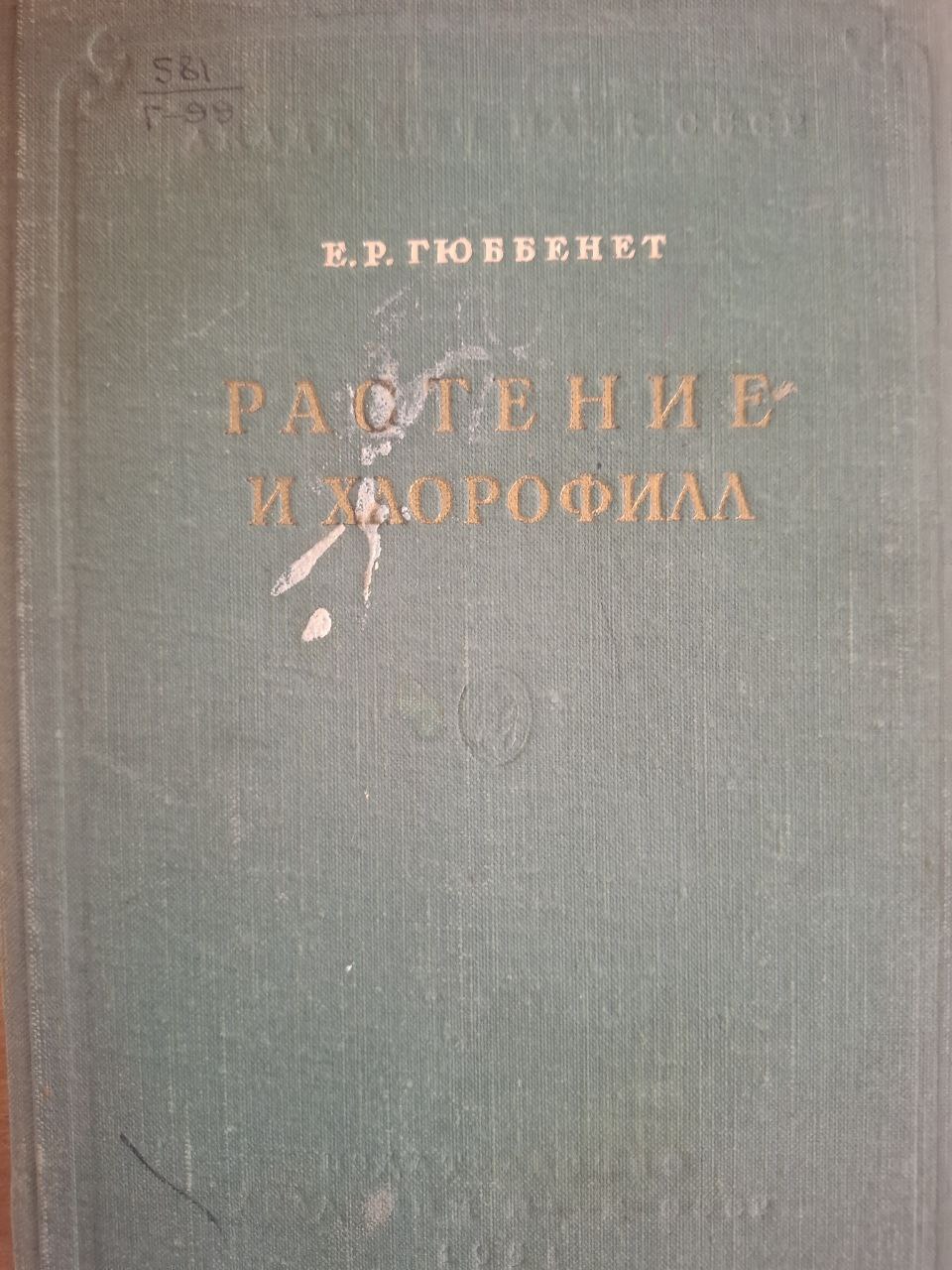 Растение и хлорофилл