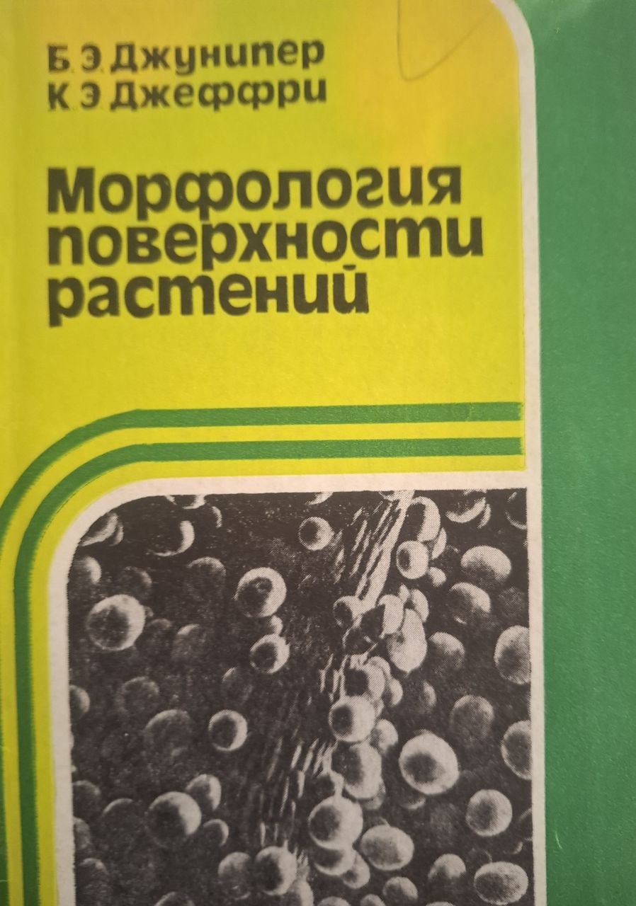 Морфология поверхности растений