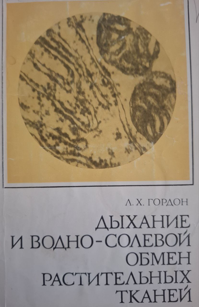 Дыхание и водно-солевой обмен растительных тканей