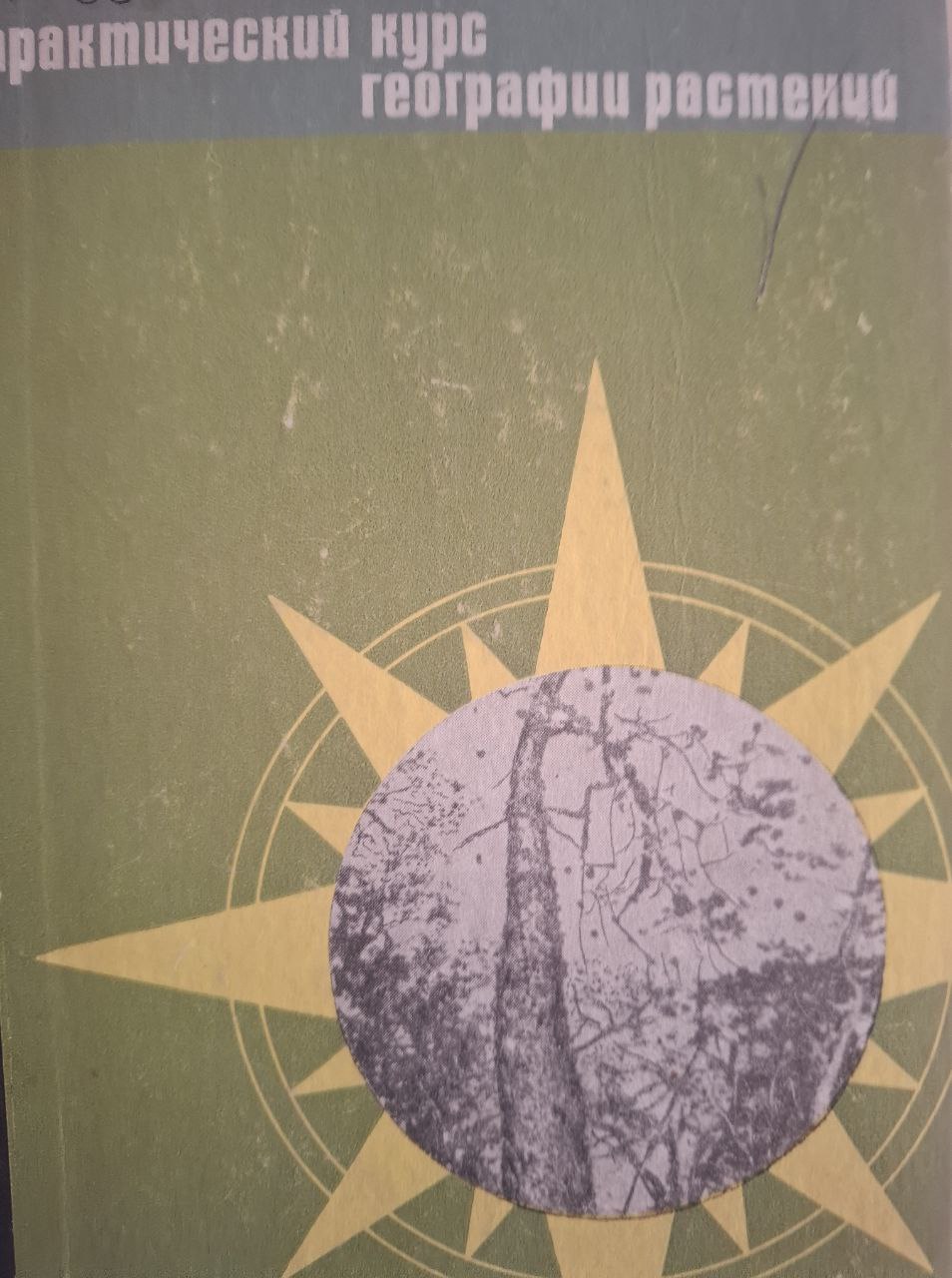 Практический курс географии растений