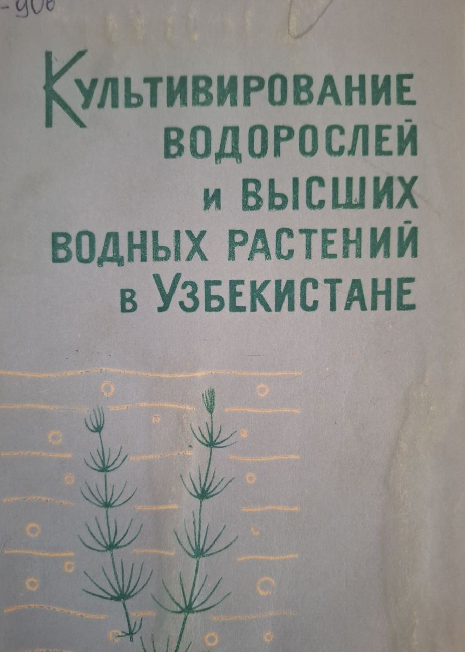 Культивирование водорослей и высших водных растений в Узбекистане