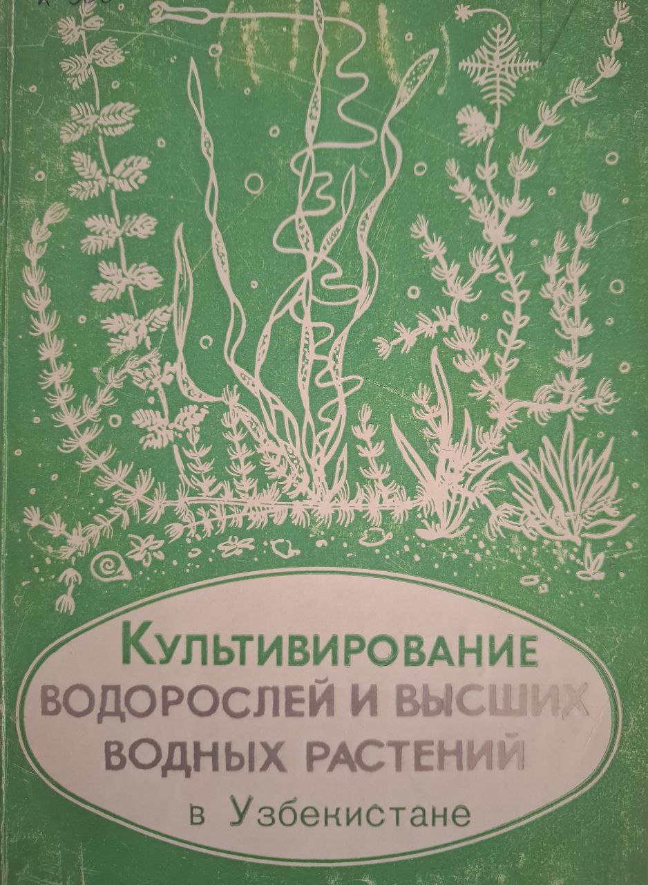 Культивирование водорослей и высших водных растений в Узбекистане