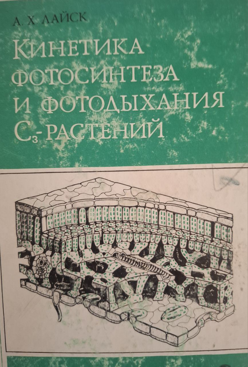 Кинетика фотосинтеза и фотодыхания С 3 растений