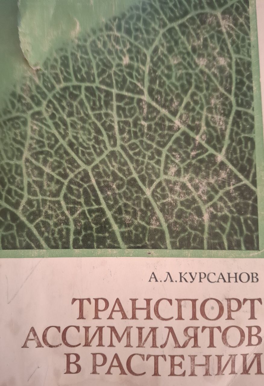 Транспорт ассимилятов в растении