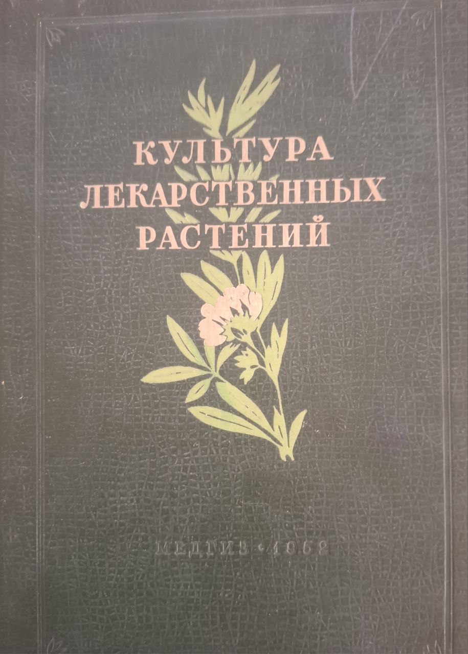 Культура лекарственных растений