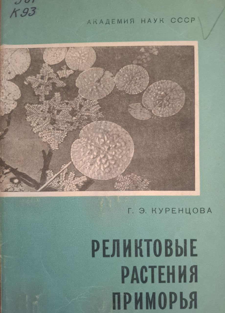 Реликтовые растения Приморья