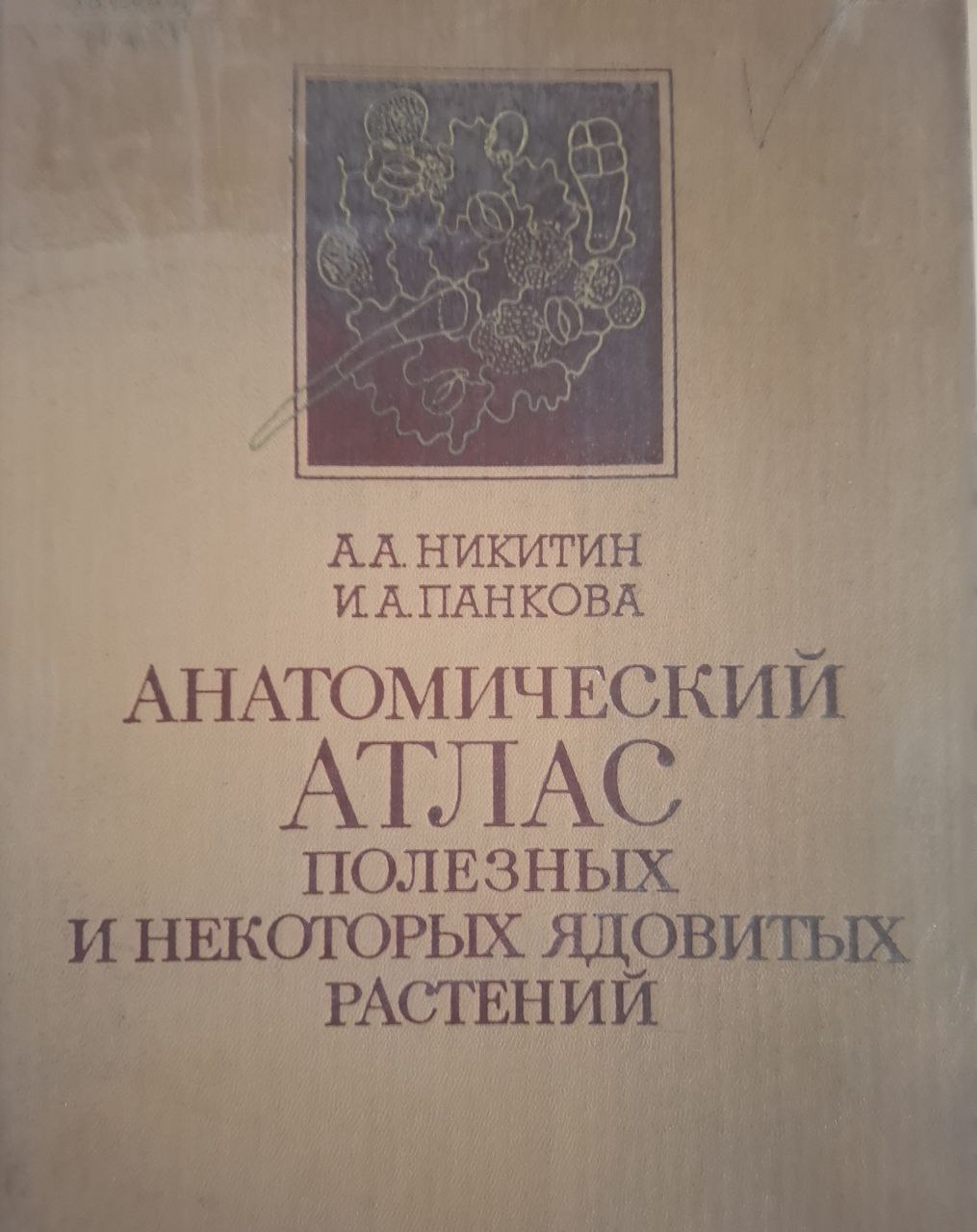 Анатомический атлас полезных и некоторых ядовитых растений