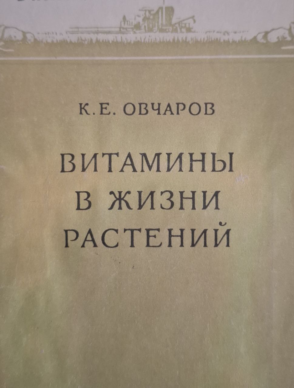 Витамины в жизни растений