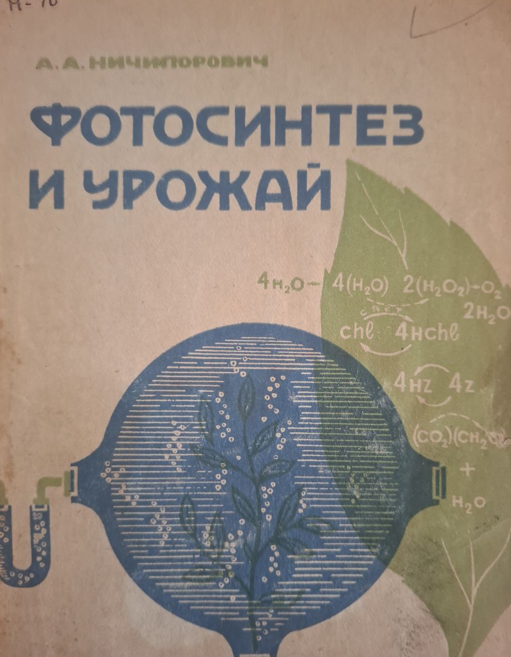 Фотосинтез и урожай