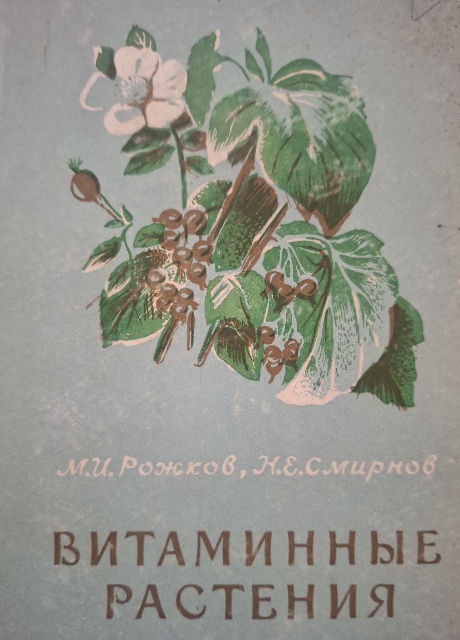 Витаминные растения