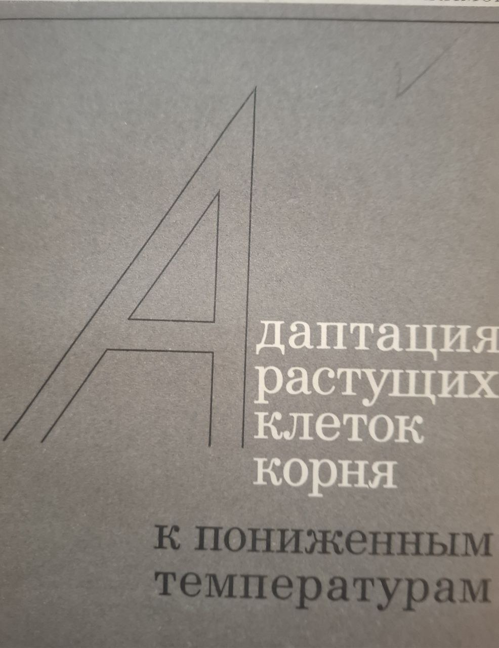 Адаптация растущих клеток корня к пониженным температурам