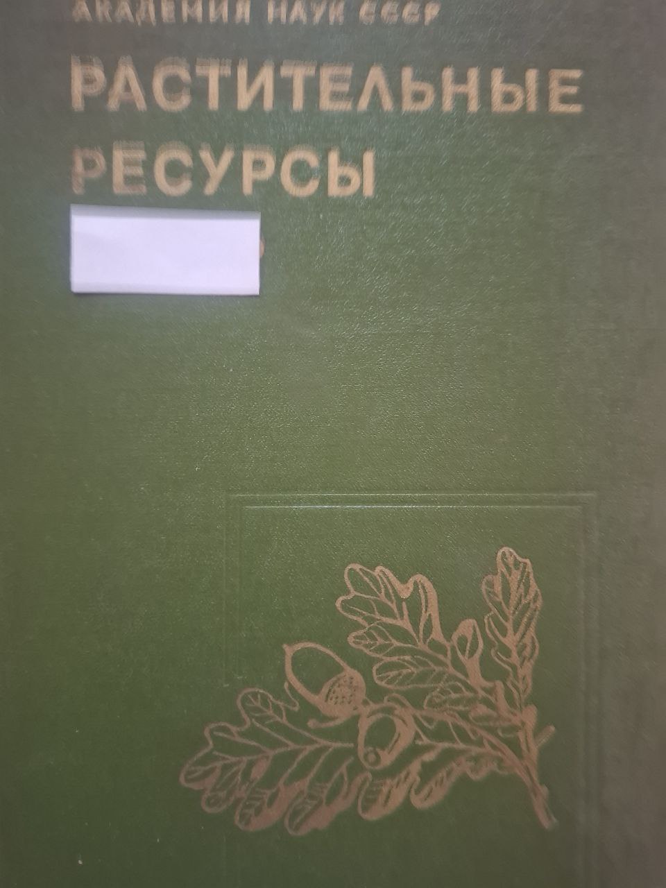 Растительные ресурсы