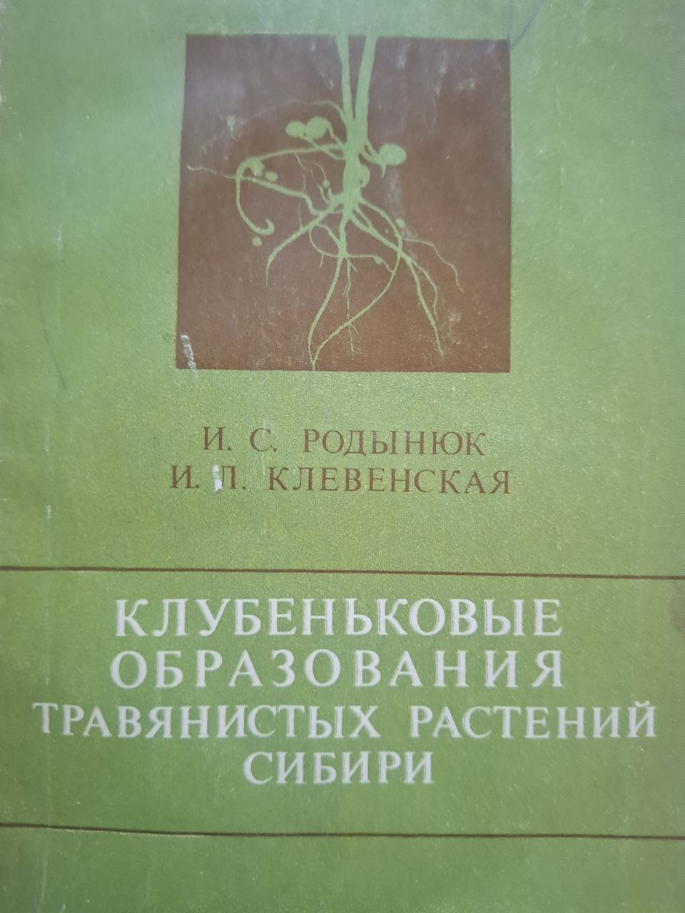Клубеньковые образования травянистых растений Сибири