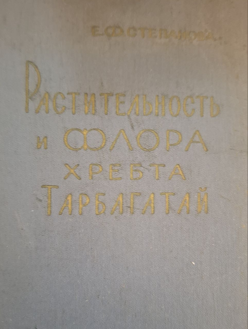 Растительность и флора Хребта Тарбагатай