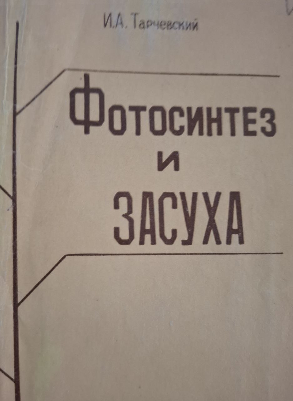 Фотосинтез и засуха