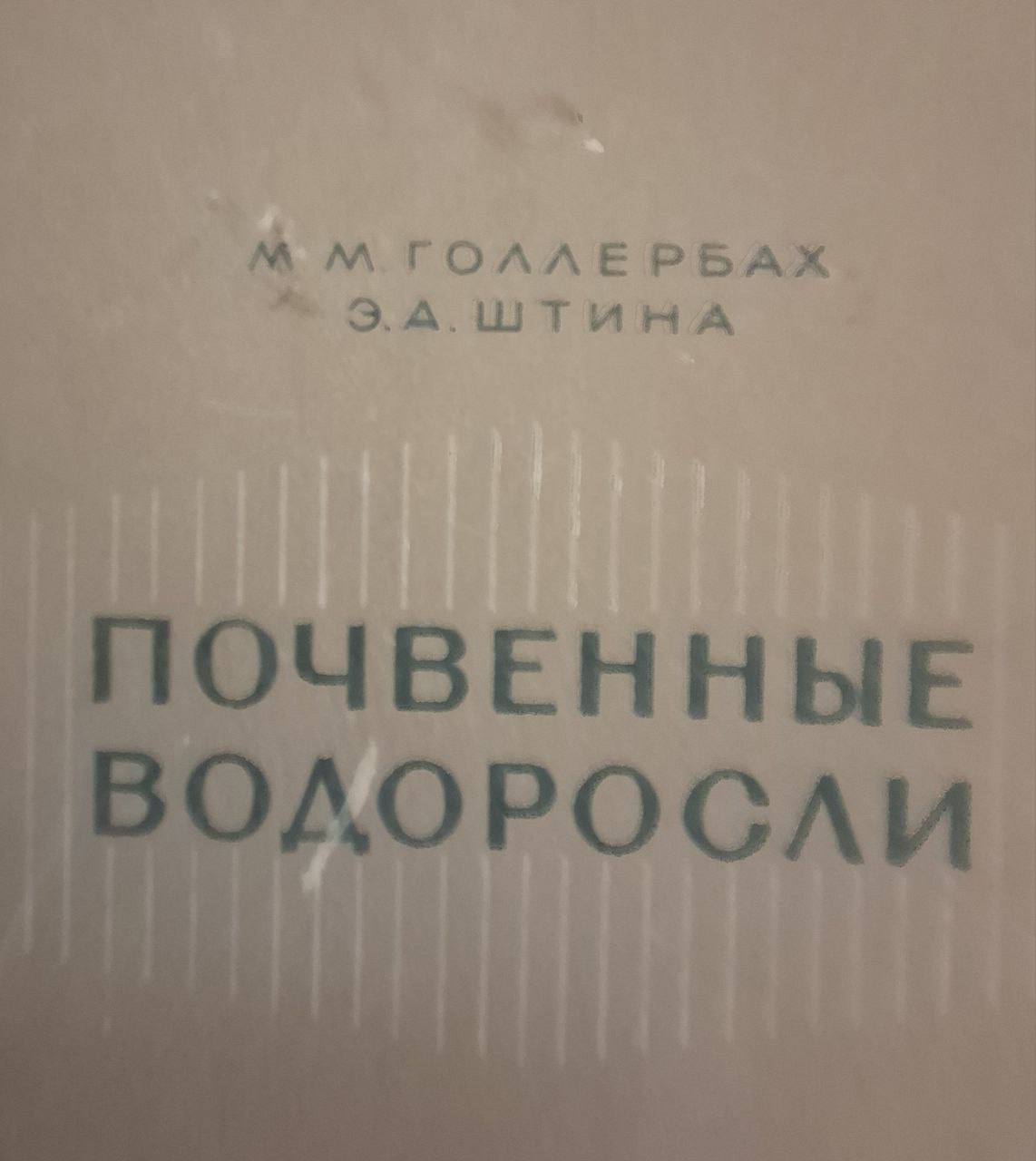Почвенные водоросли