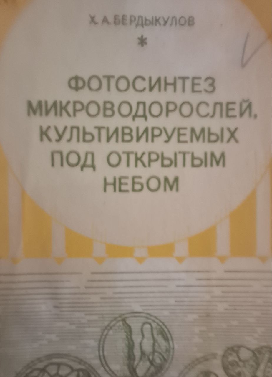 Фотосинтез микроводорослей, культивируемых под открытым небом