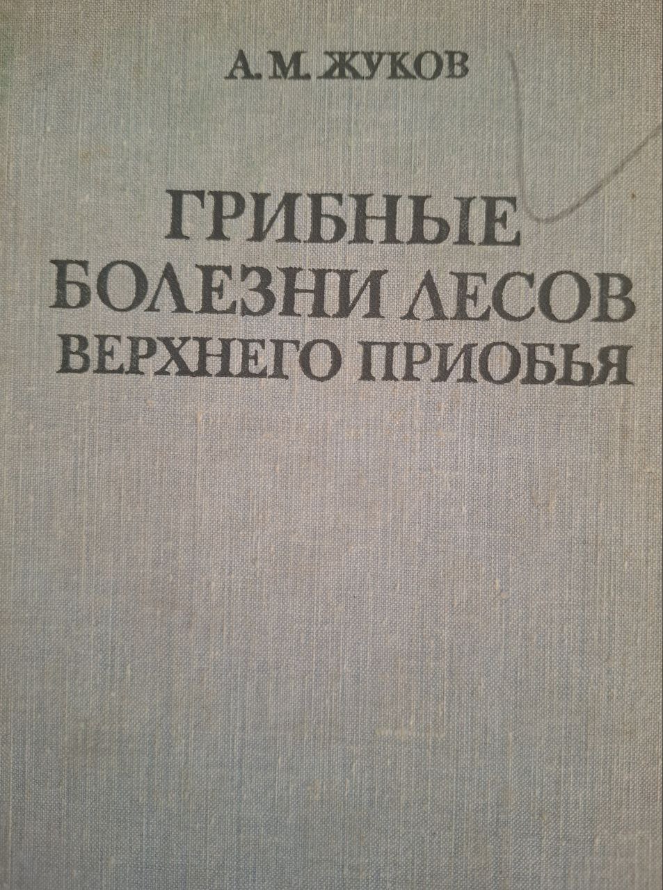 Грибные болезни лесов верхнего приобья.