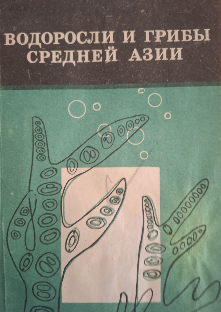 Водоросли и грибы Средней Азии