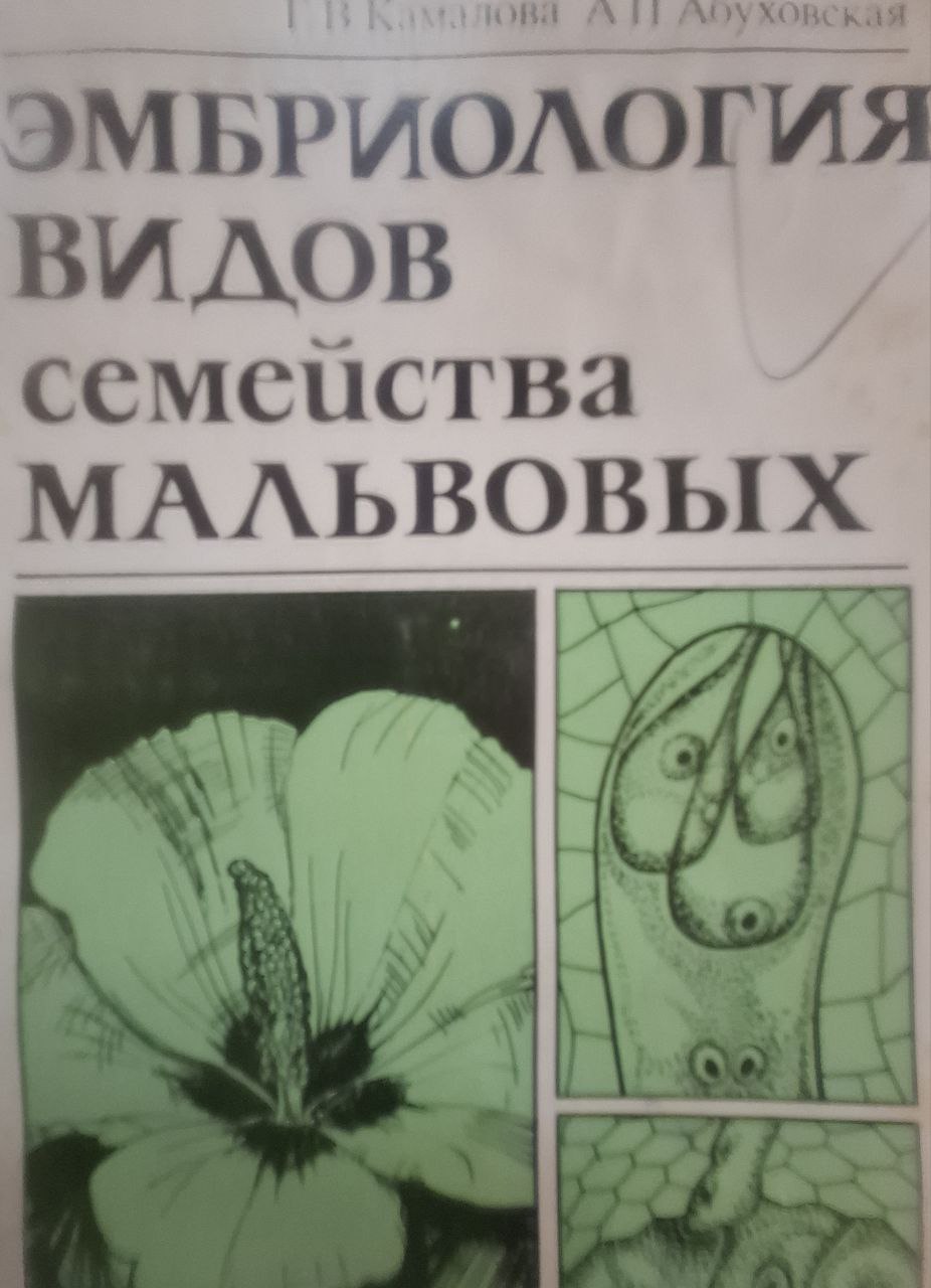 Эмбриология видов семейства Мальвовых