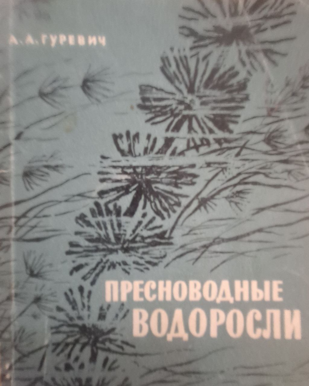Пресноводные водоросли