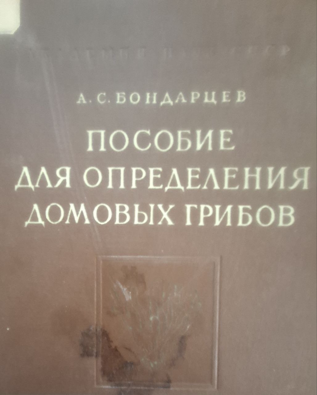 Пособие для определения домовых грибов