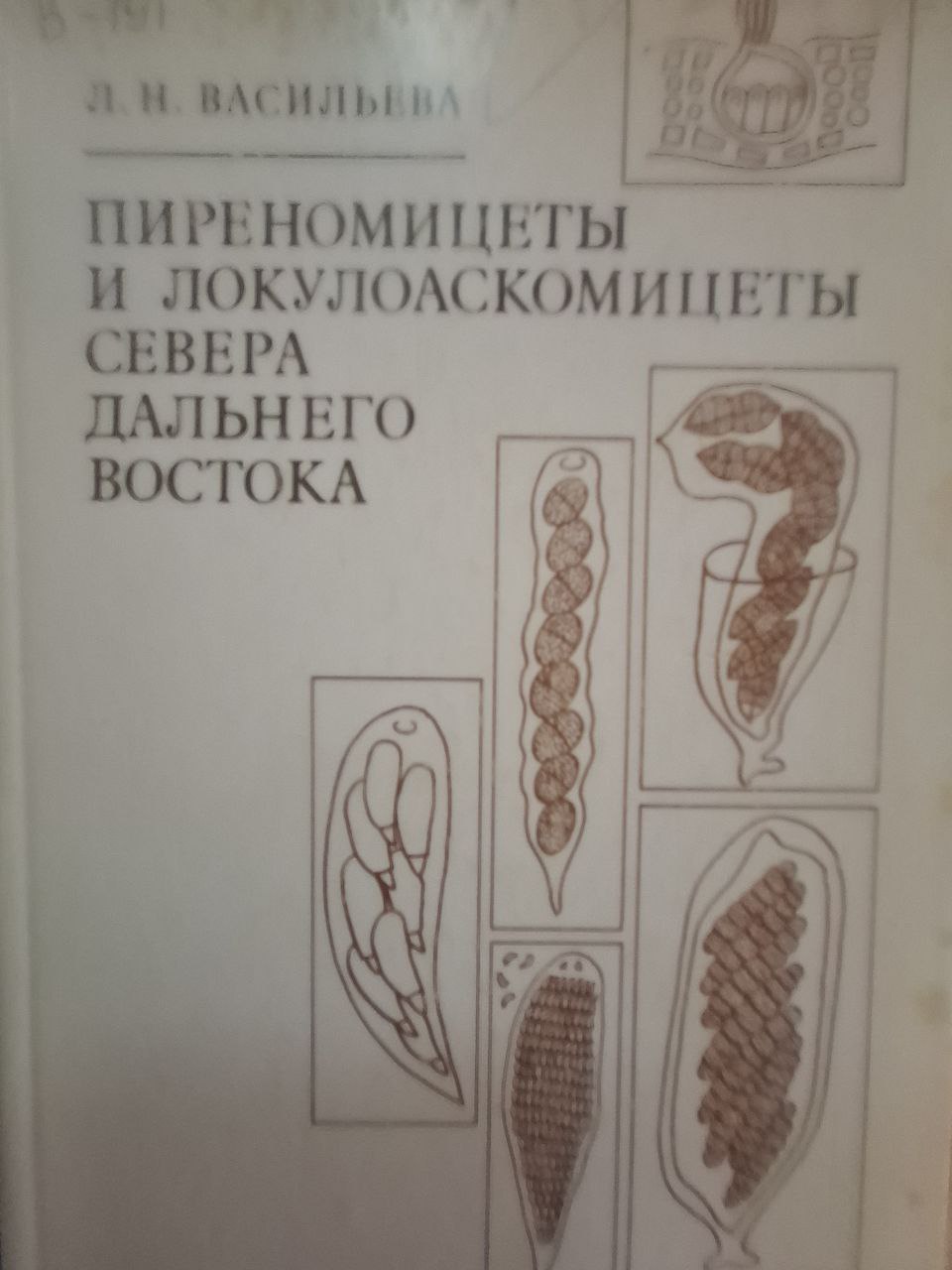 Пиреномицеты и локулоаскомицеты севера Дального Востока