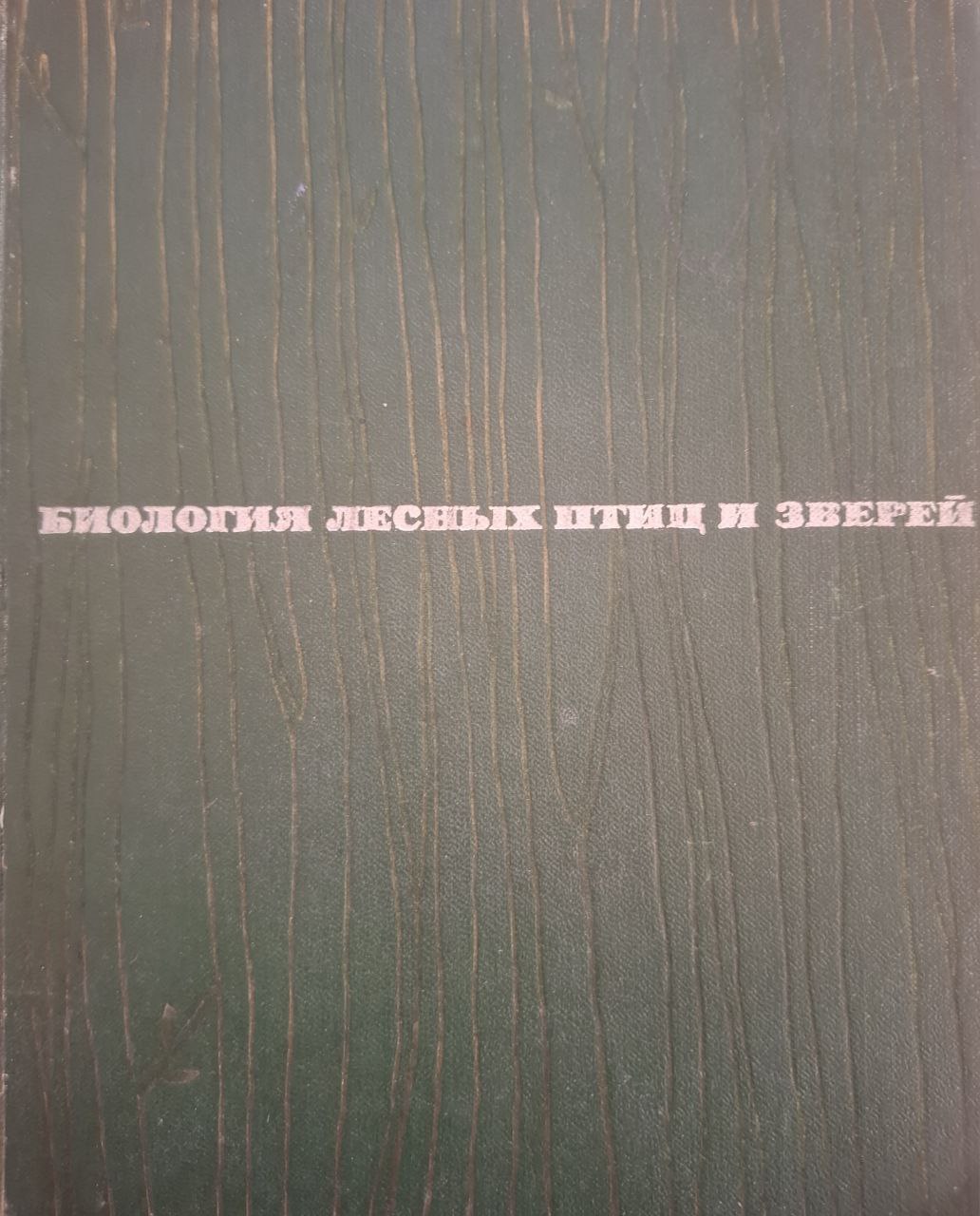 Биология лесных птиц и зверей