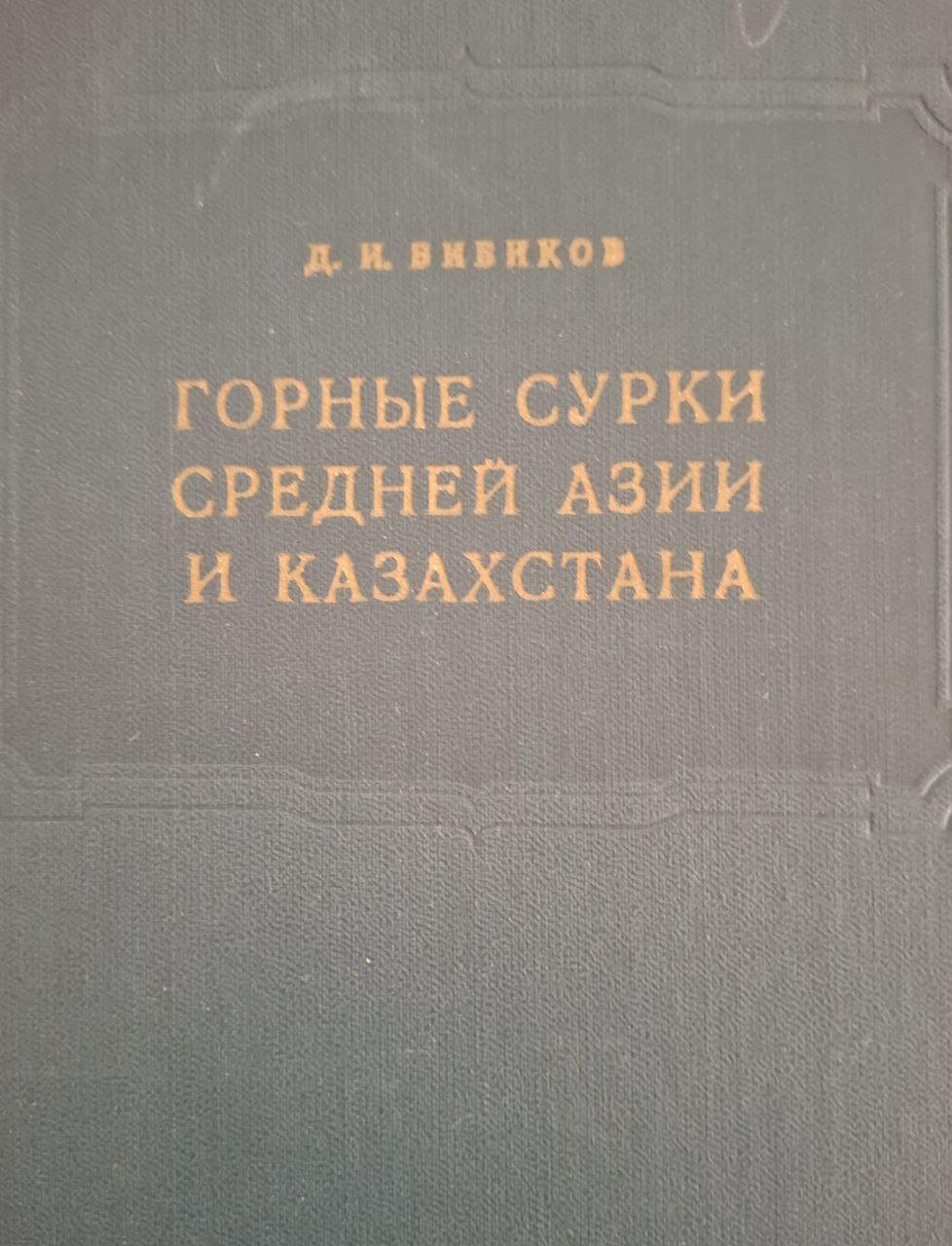 Горные сурки Средней Азии и Казахстана