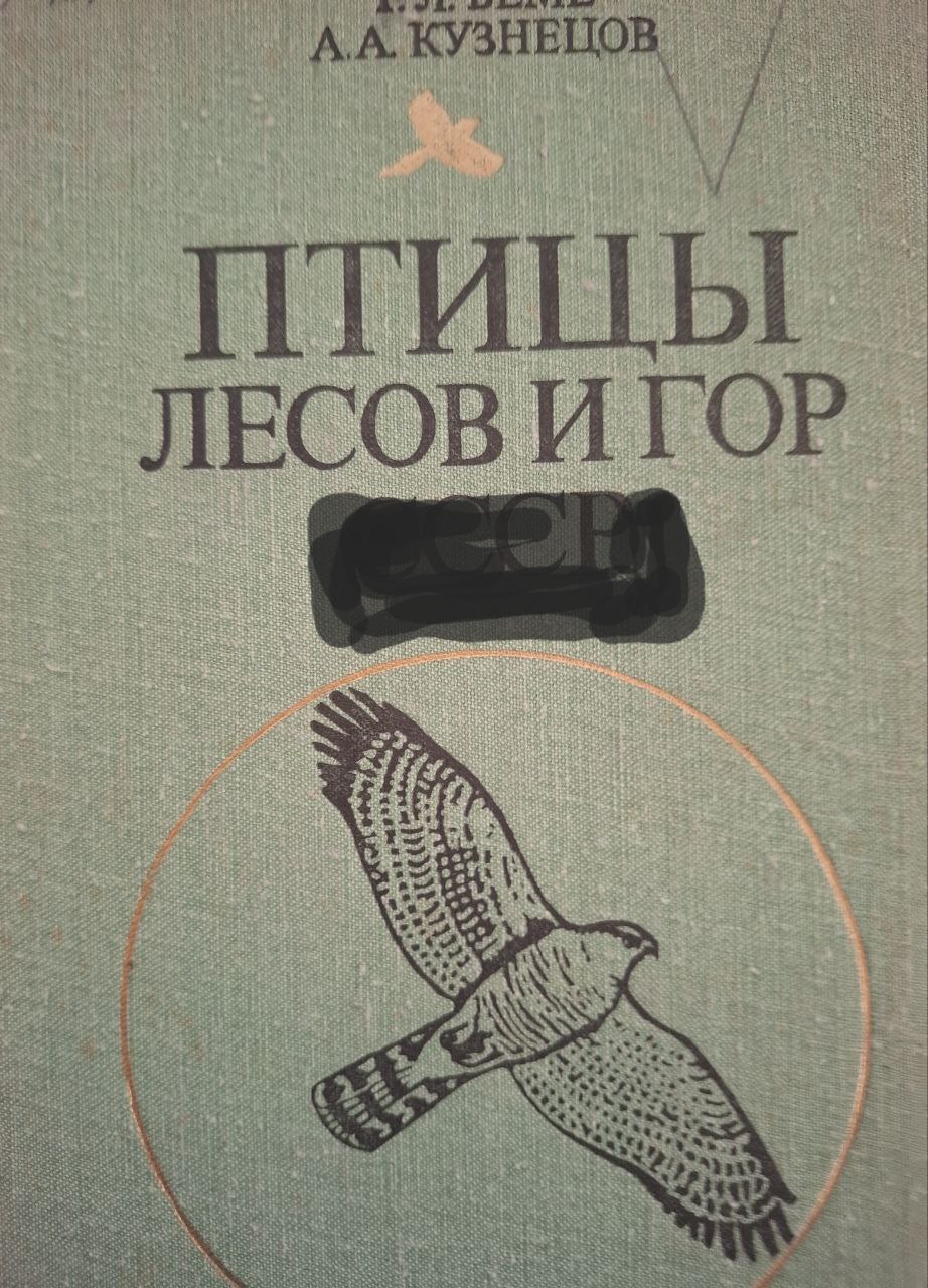 Птицы лесов и гор