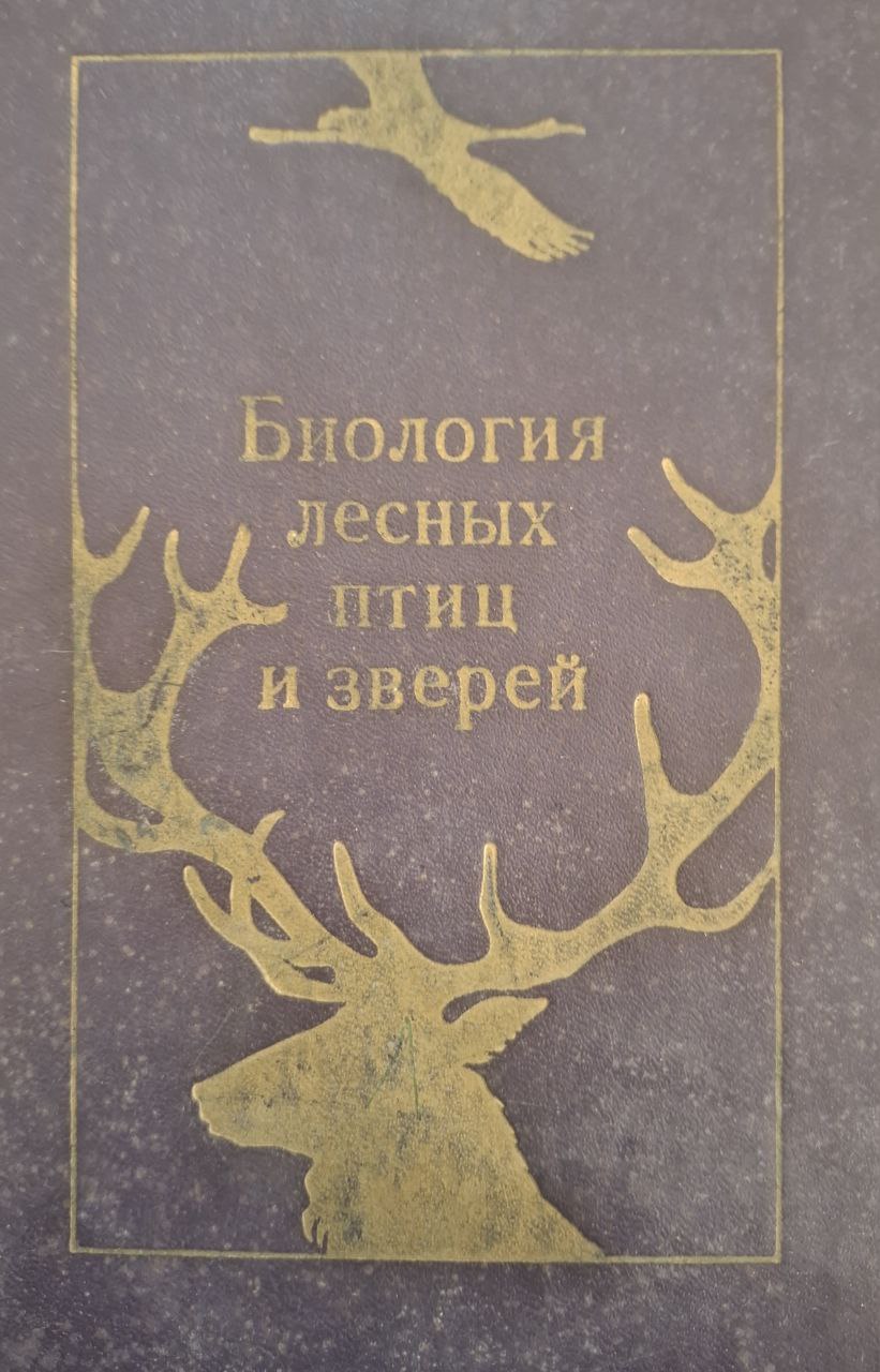 Биология лесных птиц и зверей
