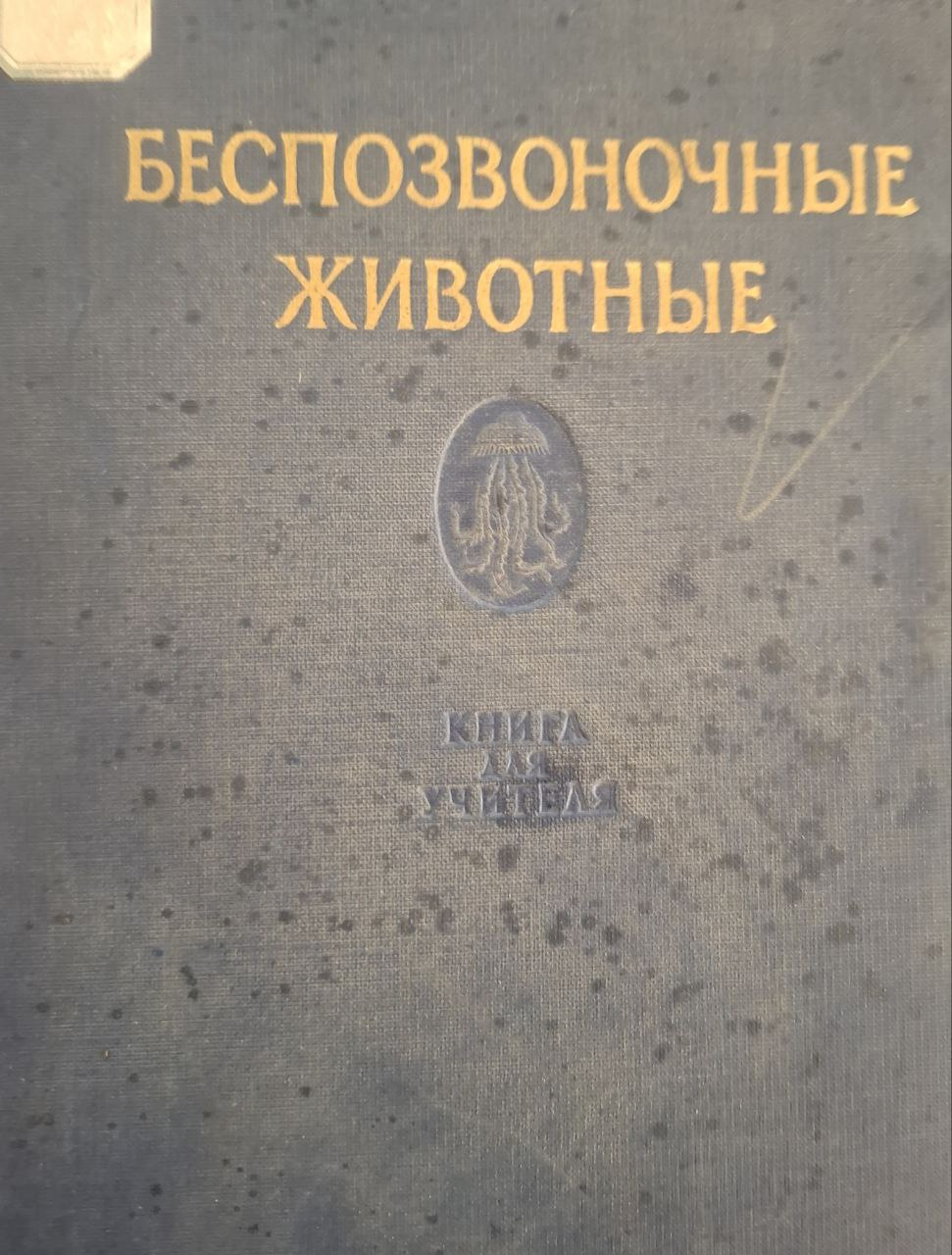 Беспозвоночные животные (строение в связи с условиями жизни и значение их для человека)
