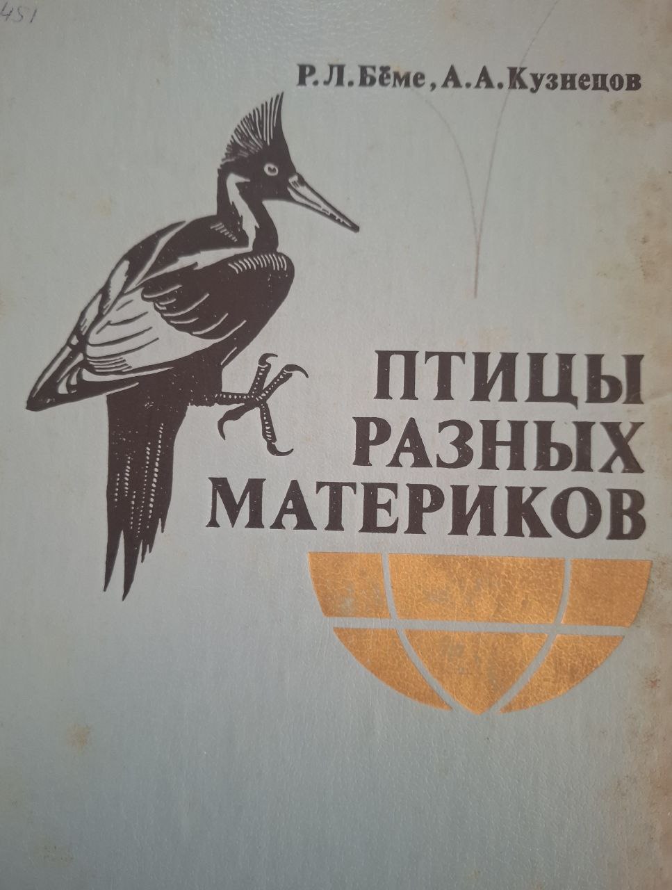 Птицы разных материков