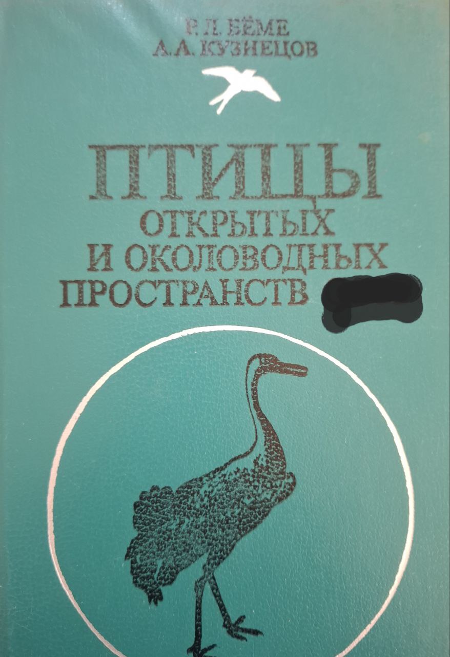 Птицы открытых и околоводных пространств РФ