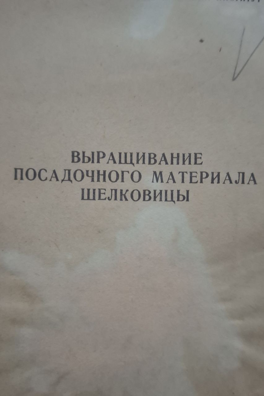 Научные труды. Вып. 69. Выращивание посадочного материала шелковицы