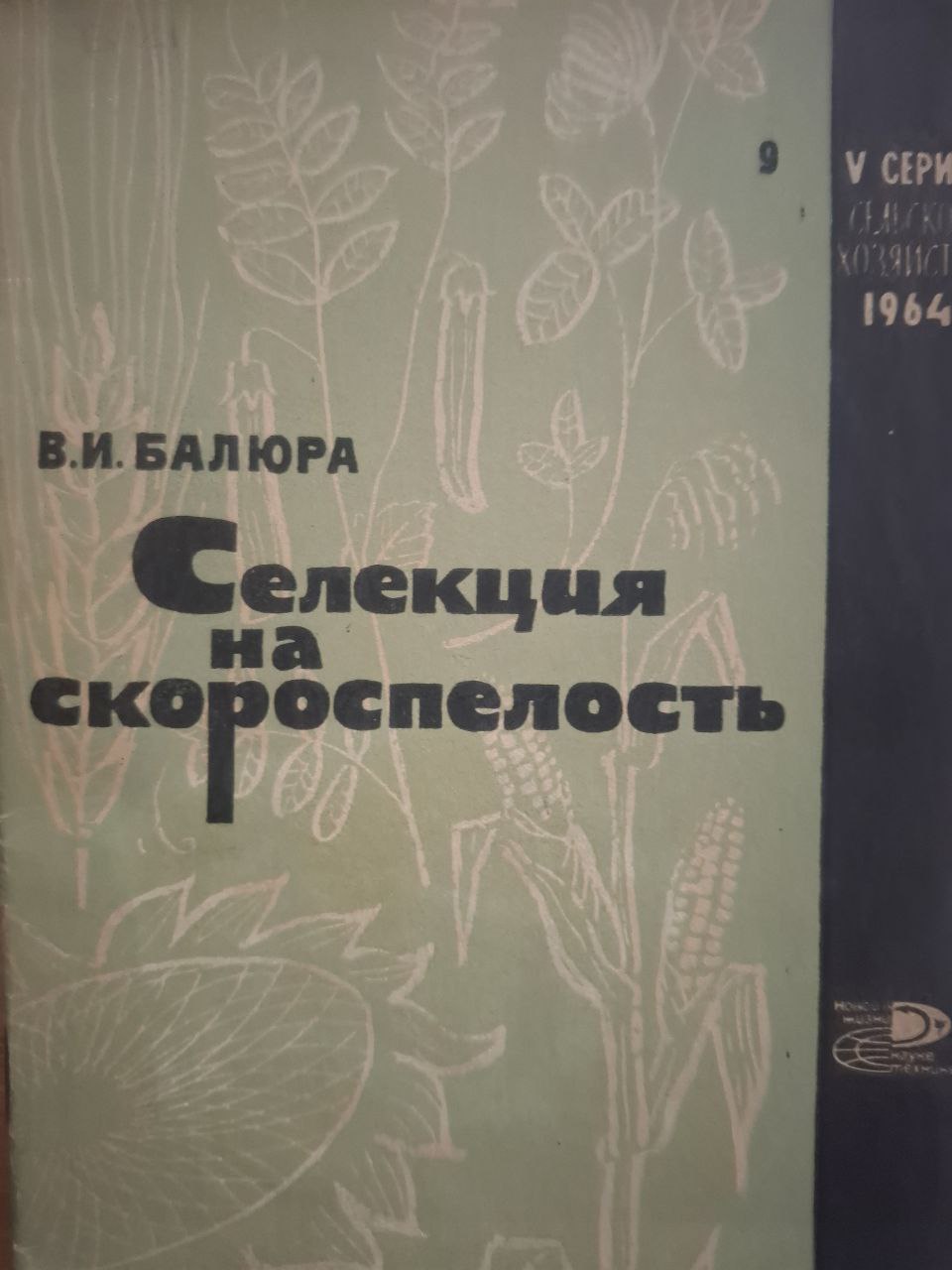 Селекция на скороспелость