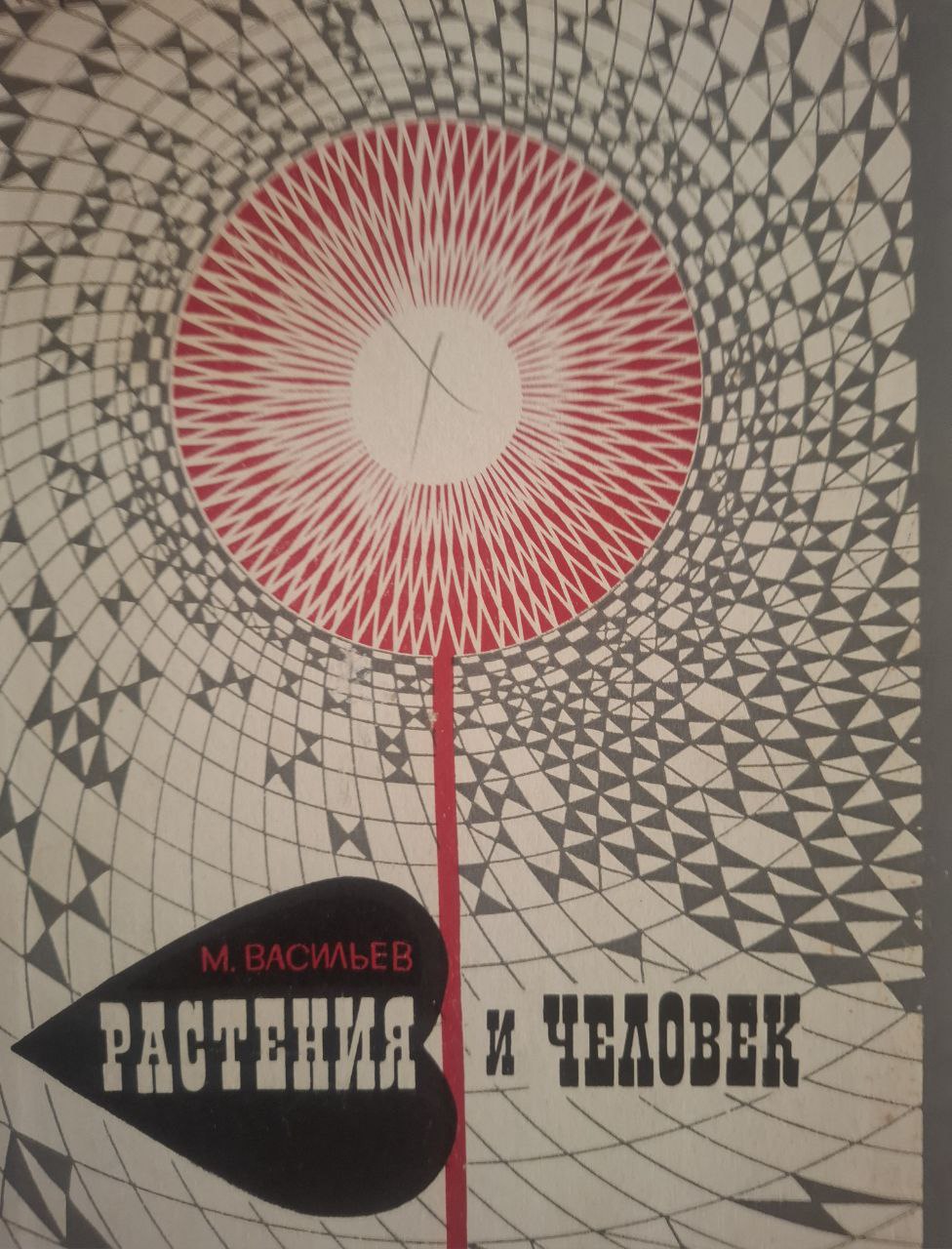 Растения и человек