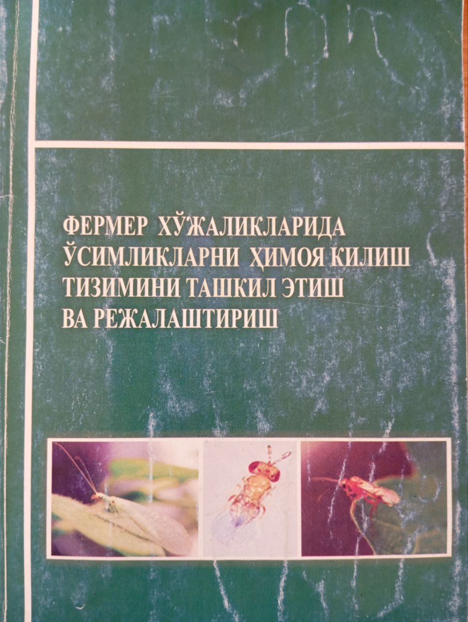 Фермер хўжаликларида ўсимликларни ҳимоя қилиш тизимини ташкил этиш ва режалаштириш