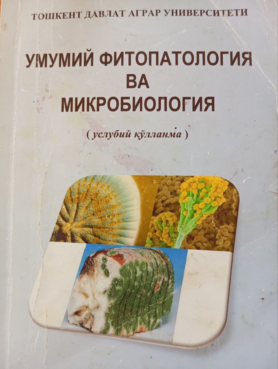 Умумий фитопатология ва микробиология