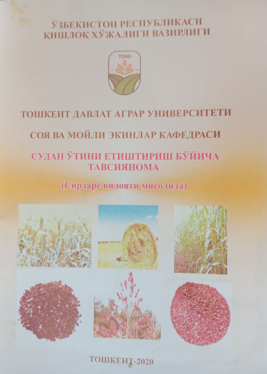 Судан ўтини етиштириш бўйича тавсиянома (Cирдарё вилояти мисолида)